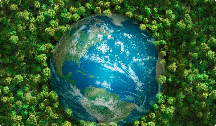 服務團隊 完善售后