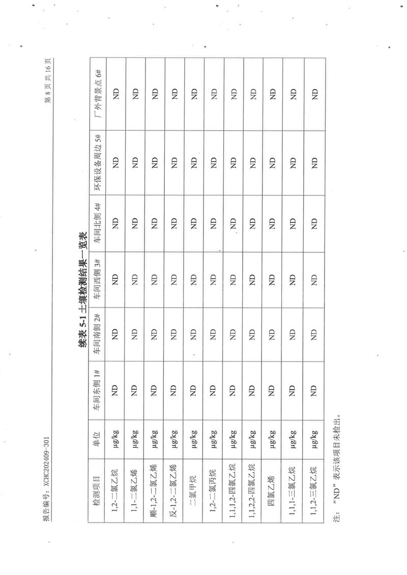 2024土壤地下水檢測報(bào)告-10