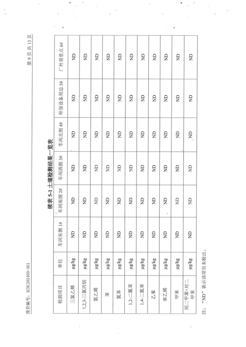 2024土壤地下水檢測報(bào)告-11